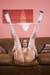 White_Joey_1038